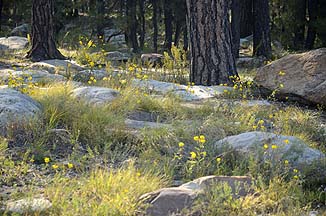 Willow Spring Lake, Arizona, September 26, 2011